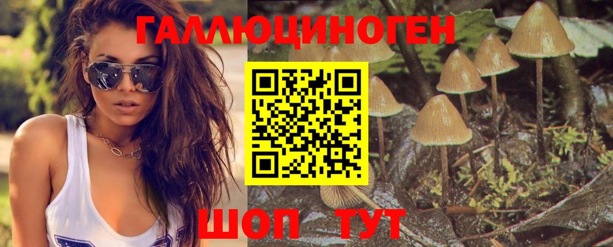 Псилоцибиновые грибы мицелий Белгород